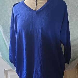 Women's Blue V-Neck Sweater